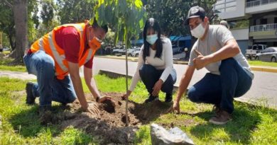 Gobierno Bolivariano convertirá en bosque policromático paseo Las Delicias de Maracay