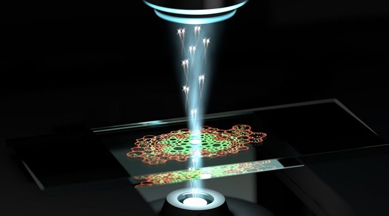 Científicos crean microscopio cuántico capaz de captar estructuras celulares nunca antes vistas