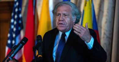 Grupo de Puebla pide “manos de la OEA fuera de Perú”