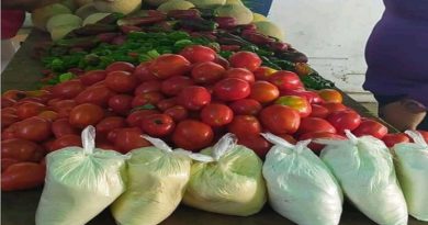 ARAGUA | Ferias Agroproductivas de Camatagua ofrecen rubros a precios solidarios