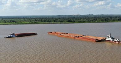 CVG Naviorca logró transportar 10 mil toneladas de coque verde y 7 mil toneladas de piedra caliza para empresas básicas de Guayana
