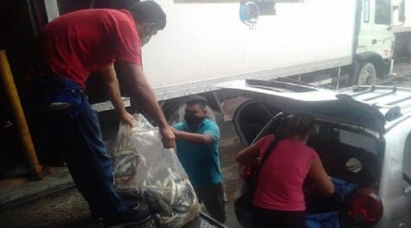 Distribuyen proteína pesquera a las Casas de Alimentación en Falcón