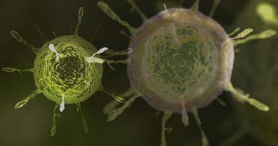 OMS alerta sobre la presencia de una nueva variante del coronavirus llamada Lambda
