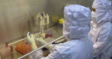 Investigadores avanzan en el uso de células madres para regeneración de huesos en fracturas no curadas