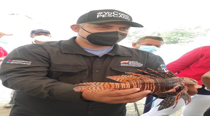 Inicia Plan de Aprovechamiento del Pez León promoviendo su captura desde La Guaira