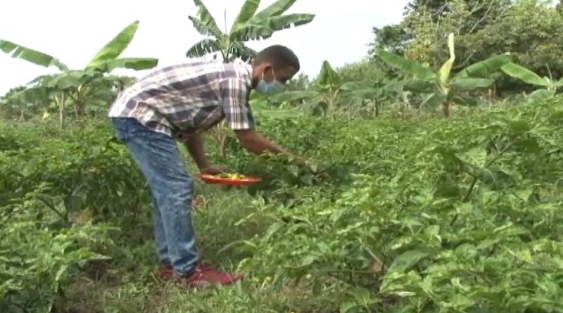 Impulsan programa Mi Clap es Productivo en comunidades de Yaracuy