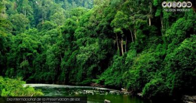 Concluye Congreso Regional de Bosques y Paisajes Sostenibles en Panamá