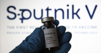 Sputnik-V en embarazadas