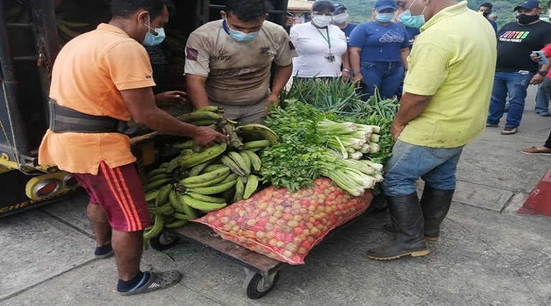 Donan más de 6.2 toneladas de verduras y hortalizas a casas de abrigo en Táchira