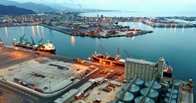 Bolipuertos se prepara para la certificación de Organización de Protección Reconocida