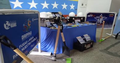 Brippas para atender averias menores