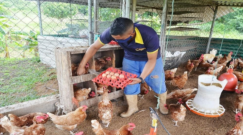 Guárico prevé fortalecer sistema agroproductivo desde el sector urbano y comunal