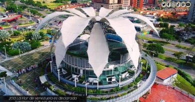 Monumento La Flor de Venezuela cumple 8 años como Patrimonio Cultural