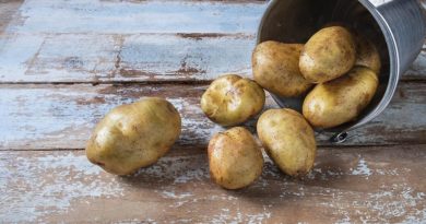 Investigadores chinos logran grandes avances en el cultivo de la patata híbrida