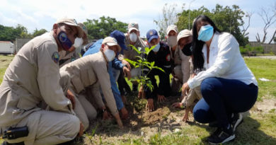 Realizada jornada de reforestación en Ciudad Socialista Arsenal estado Aragua