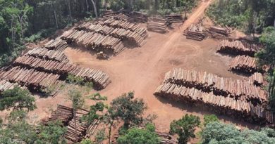 La Amazonía brasileña registra récord de deforestación en 2021