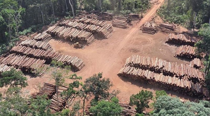 La Amazonía brasileña registra récord de deforestación en 2021