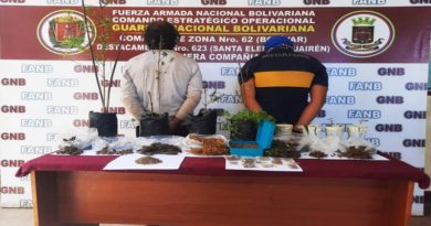 GNB detiene a 3 personas en diferentes procedimientos en Falcón y Bolívar