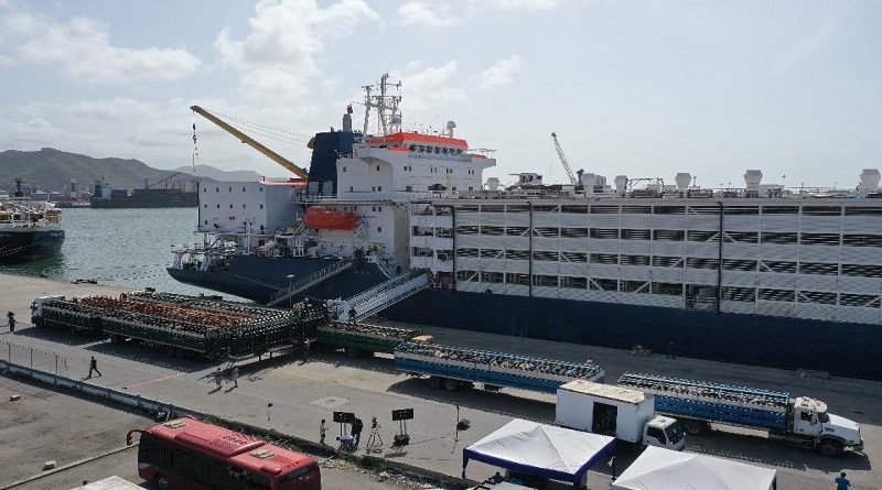 Venezuela exporta 13 mil animales bovinos hacia países del Medio Oriente