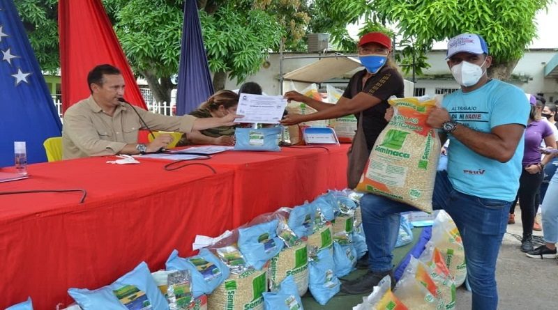 Plan Siembra Comunal y Campesino "Bicentenario 200" beneficia a 290 pequeños productores en Guárico