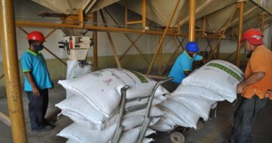 Guárico | Planta Seleccionadora y Acondicionado de Semilla de Arroz garantiza la continuidad de los ciclos de siembra en el país