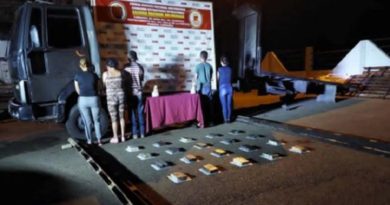 Un total de 76 panelas de drogas fueron incautadas en dos procedimientos en Barinas y Guárico