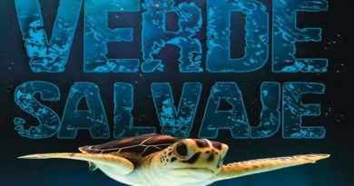 Documental “Verde Salvaje” resalta la investigación científica para el salvaguardar de especies marítimas en el país