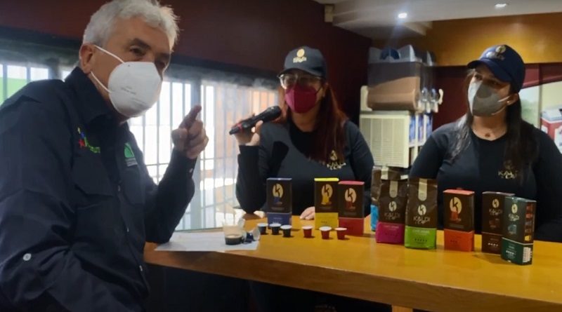 Productores de Café apuestan a convertir a Venezuela en una potencia cafetalera