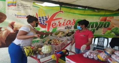 Feria del Campo Soberano atiende a más de mil familias en Falcón