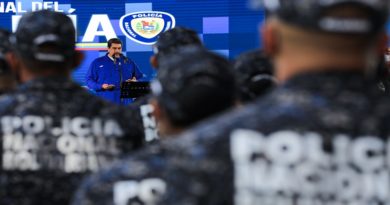 Jefe de Estado ordena profundizar en investigaciones sobre actos terroristas en la Cota 905, El Valle y La Vega