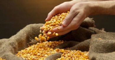 Entregan insumos para cultivar la siembra de cinco hectáreas a 34 productores de Guarenas en Miranda
