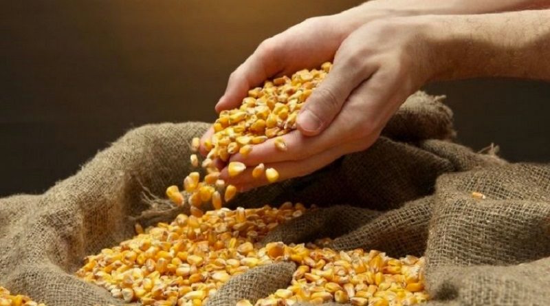 Entregan insumos para cultivar la siembra de cinco hectáreas a 34 productores de Guarenas en Miranda
