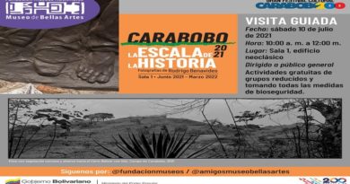 Museo de Bellas Artes exhibe exposición fotográfica Carabobo 2021, La Escala de la Historia