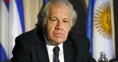 Argentina acusa a Almagro: OEA es un “escuadrón” que ataca y atenta contra gobiernos populares de Latinoamérica