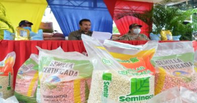 Gobierno junto al poder popular inician ciclo invierno de siembra de cereales en municipio Pedro Zaraza del estado Guárico