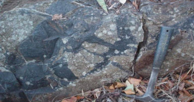 Fósiles de microorganismos que vivieron hace 3.400 millones de años fueron hallados en Sudáfrica