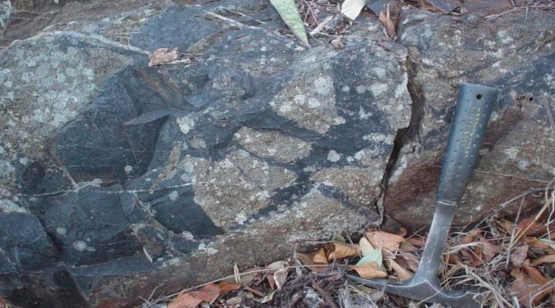 Fósiles de microorganismos que vivieron hace 3.400 millones de años fueron hallados en Sudáfrica