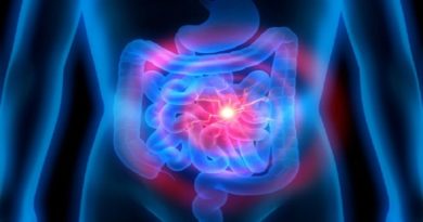 Bacteroides presentes en la microbiota intestinal inciden en el desarrollo cerebral de los bebés varones