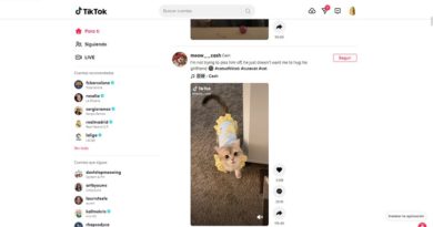Tiktok en Windows