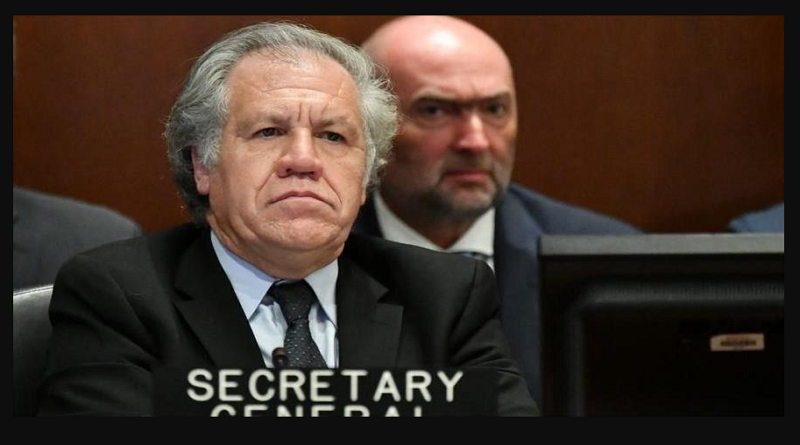 Bolivia advierte que Luis Almagro debe renunciar en la OEA o será echado