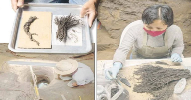 MÉXICO | Hallan flores antiguas casi intactas de más de 2 mil años en ruinas de Teotihuacán