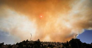Israel afronta uno de los más grandes incendios forestales de los últimos años