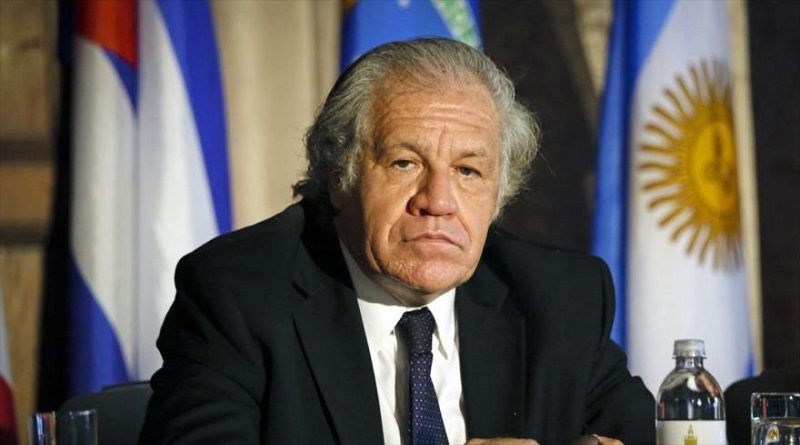 El secretario general de la Organización de Estados Americanos (OEA), Luis Almagro, habla durante un foro en Miami, 5 de mayo de 2021. (Foto: AFP)