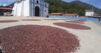 Indicación Geográfica Protegida garantiza métodos tradicionales de la producción venezolana