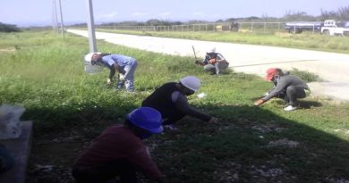 Desmalezamiento