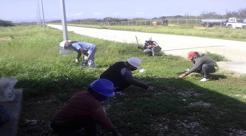 Desmalezamiento