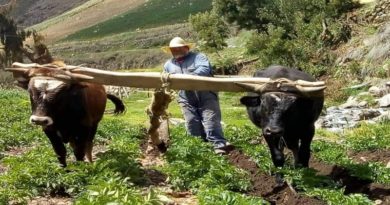 Alianza Científico-Campesina potencia la producción de alimentos en Venezuela pese a medidas coercitivas unilaterales