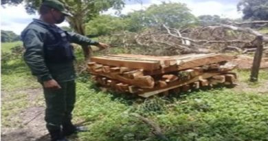 GNB incauta 350 estantillos de madera en Barinas, Delta Amacuro y Guárico