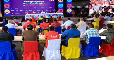 PSUV llama a plan de acción y comunicación