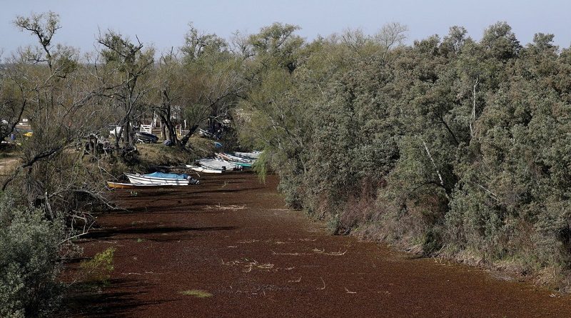 Botes varados en un humedal seco en la orilla del río Paraná, en Rosario, Argentina, el 8 de julio de 2021 (Agustin Marcarian / Reuters)